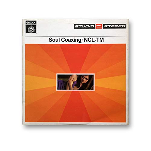 Fleshlight Fleshlight