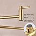 Fonveth Brushed Gold Wall Mounted Pot Filler Kitchen Faucet, Dual Handles, 1/2 IPS Male Threaded - 14 NPT inlet