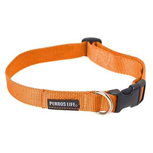 PERROS LIFE Collare Regolabile CR25/S 35-53 cm