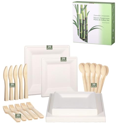 LEKOCH 25 Platos desechables de caña de azúcar para 25 personas, platos cuadrados blancos con cubiertos de bambú, para picnics y barbacoas