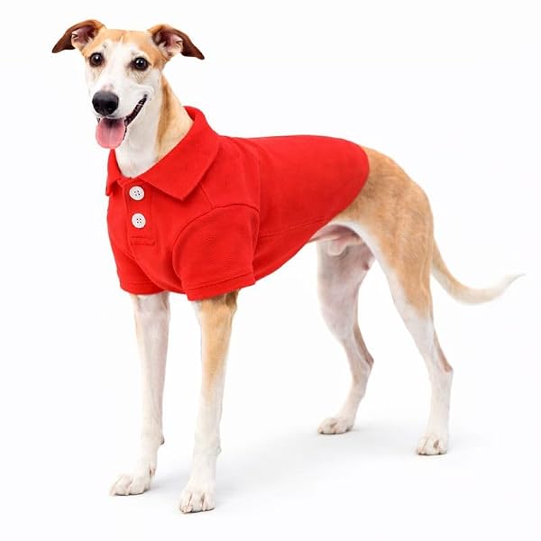 lovelonglong Basic Dog Polo Shirts Premium Cotton, Polo T-Shirts for Large Medium Small Dogs with a Two-Button Collar Blank Color Red XXXL by Lovelonglong - Used condition - US$12.95