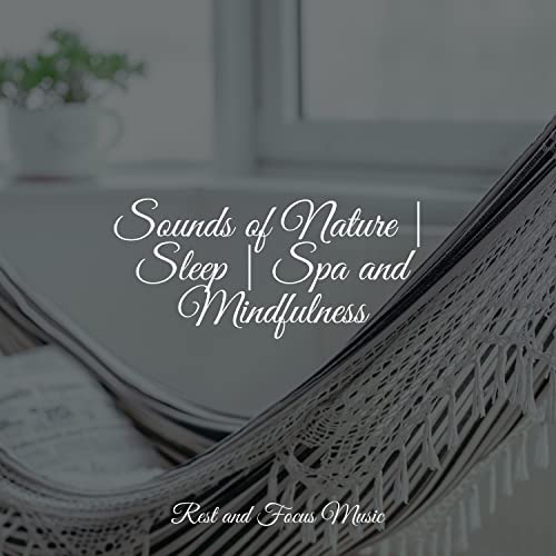 Sounds of Nature | Sleep | Spa and Mindfulness di White Noise Sound ...