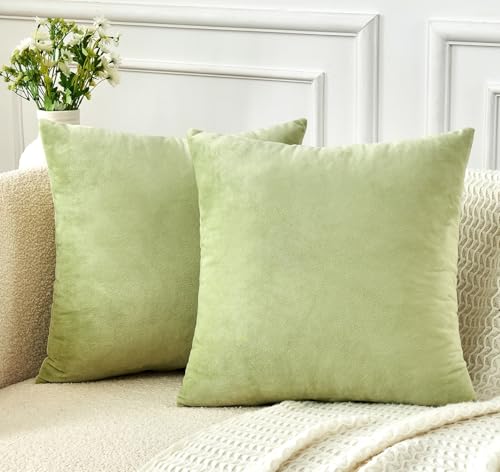 GriNeed Throw Pillow Covers Sage Green Set of 2 18x18 Inch Pillow Covers, Soft Velvet Decorative Pillowcases for Couch Sofa Bed, Home Boho Decor, Modern Farmhouse Cushion Covers