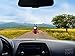 Tenna Tops Lucky Red Ladybug Car Decor Antenna Topper Auto Accessory