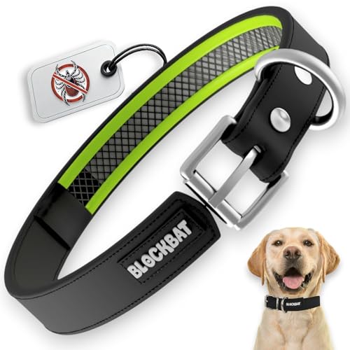 Colliers pour chiens BLOCKBAT® avec boîtier pour...