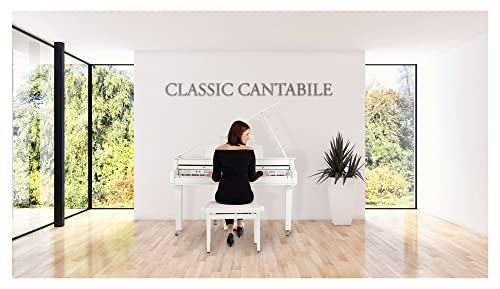 Classic Cantabile GP-A 810 Piano à Queue Numérique – 88 touches pondérées à marteaux – Clavier électronique avec USB… - Les Beatles, Paul McCartney, John Lennon, RIngo Starr, George Harrison Classic Cantabile GP-A 810 Piano à Queue Numérique - 88 touches pondérées à marteaux - Clavier électronique avec USB… – Image 7