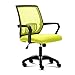 XY&CF Roulement pivotant Fauteuil de Bureau, Chaise de Bureau Ergonomique, Grille Fauteuil d'ordinateur, avec réglage de la Hauteur, entièrement assemblé, Vert (Color : A)