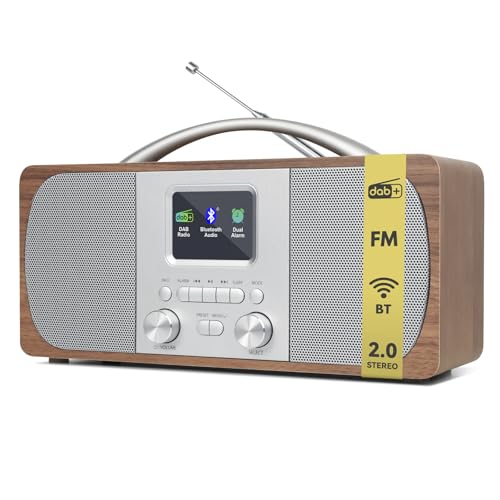 LEMEGA DR6 Radio Portable Stéréo...