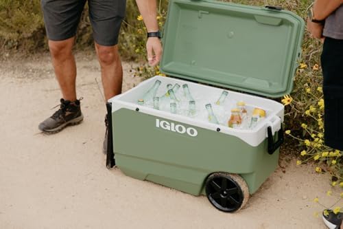 Miniatura 6 de Igloo EcoCool Cooler  Insulated Hard Shell Ice Chest