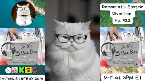 Democrat's Epstein Diversion | In the Litter Box w/ Jewels & Catturd – Ep. 922 – 11/13/2025