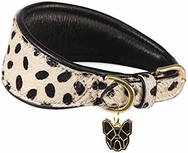 digby and fox collar