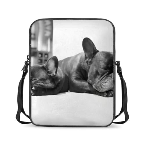 [STEBVI] V_[obO t`uhbO  |VFbg V_[|[` X}zobO ΂߂ | V_[  c^ e o| ʋ ʊw jp