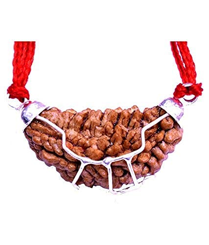 THE HIMALAYAN RIVER Original Nepali 1 Mukhi Rudraksha/Original Ek Mukhi Rudraksha with Lab Certificate/Certified One Face Rudraksha