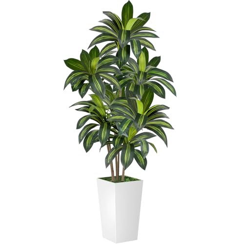 VIVATREES Dracaena Tree 6FT Artificial, 72in Tall Faux Dracaena Tree with 15.7 White Planter, Fake Potted Tree for Indoor & Outdoor Home Office Decor