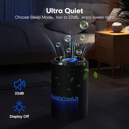 QEXREED Luftreiniger Allergiker, Raumluftreiniger HEPA-Filter gegen Pollen & Schimmel, Air Purifier mit Timer, Aroma-Diffusor für Staub & Geruch (black)