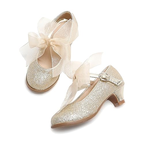Image of THEE BRON Girls Low Heel Dress Shoes Mary Jane Party Wedding Flower Girl Pumps