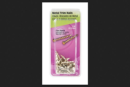 Hillman 7/8 in. L Trim Brass-Plated Steel Nail Annular Ring Shank Flat