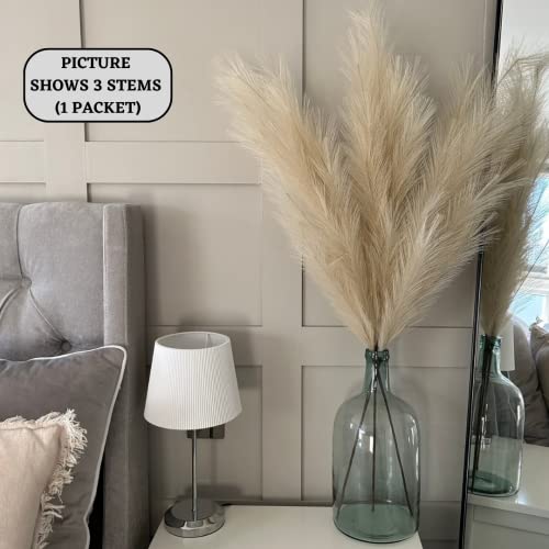 VOULUX Extra Large Tall Beige Fake Faux Artificial Pampas Grass Large Fluffy x3 115cm Stems x18 Decorative Artificial Flora Feathers For Floor Vases Tall Beige Plant Flowers Long Pampas Grass - Image 4