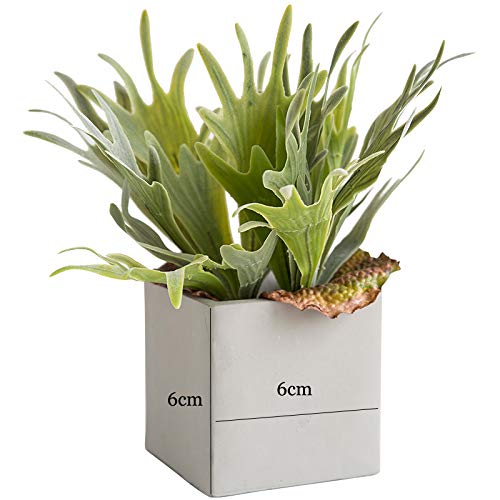 Square Concrete Flower Pot Mold Silicone Buy Online In El Salvador At Desertcart