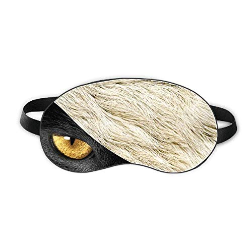 Vo[O[X[XtFU[t@[eNX` xݖڂ̎Ռe