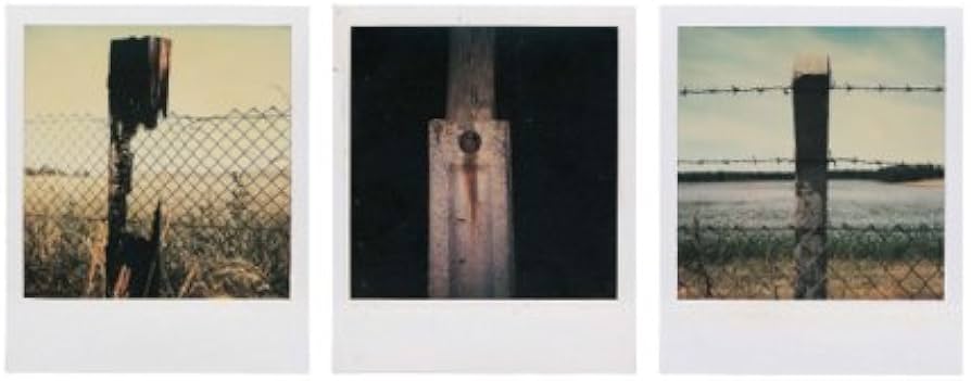 Arno Fischer: Der Garten: The Garden : Leonhardi-Museum Dresden