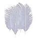 Hgshow 10pcs Ostrich Feathers 12-14 inch(30-35cm) for Home Wedding Decoration
