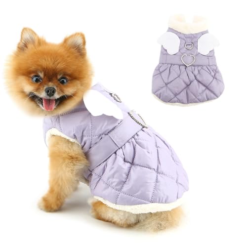 PAIDEFUL  H ~ ^p GWFEBO R[g N t[X g WPbg xgt h pbh ~p ybgEFA ` [L[ Lp hbOEFA,p[v,L