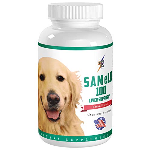 Best SAMeLQ 100 for Dogs & Cats (S-Adenosyl) Liver Support Supplement - Promotes