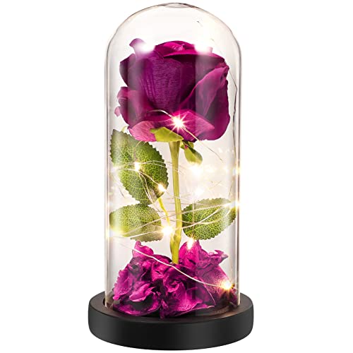 Uonlytech Rosa artificial en cúpula de cristal con luces para San Valentín, Día de la Madre y la boda Cover