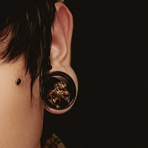 TBOSEN 2PCS Stainless Steel Black Gold Plugs and Tunnels Ear Gauge Stretcher Plug Jewelry Piercing Expander Gauges 2g - 1 inch 6mm-25mm4