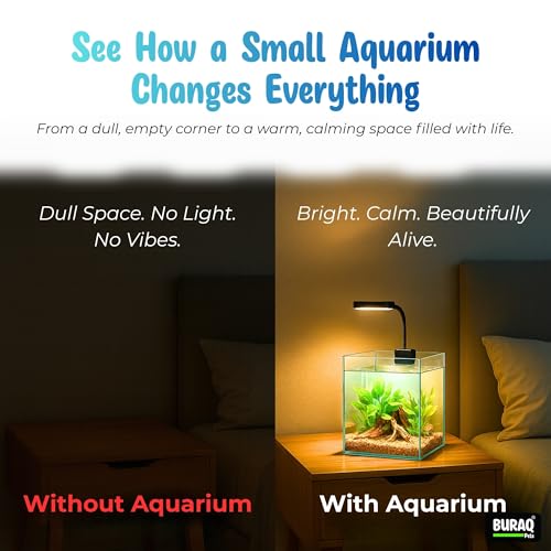 Image of Buraq Ultra Clear Aquarium Glass Fish Tank BL-C04 with WRGB Flat LED Light for Small Fishes
