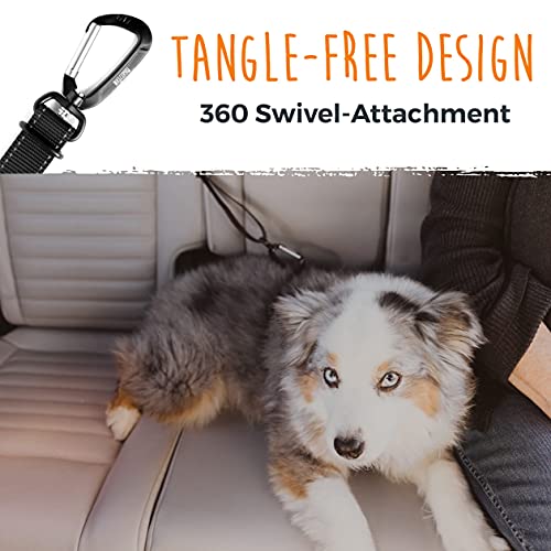 Mighty Paw Dog Seat Belt | Headrest Dog Seatbelt Tether, Pet Seat Belt For Car, Dog Car Leash, Dog Safety Belt For Car, Seatbelt For Dog In Car, Dog Seat Belt For Car, Dog Car Seat Belt Large - Puppy #TOP5