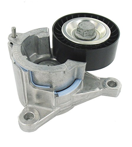 SKF VKM 33019 Kit tendicinghia