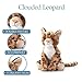 The Petting Zoo Clouded Leopard Stuffed Animal Plushie, Gifts for Kids, Wild Onez Asian Animals, Leopard Plush Toy, 12 inches