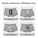 Ajkvoice Stash Pocket Unterwäsche für Männer, Herren Boxer Slips mit Einer geheimen Tasche. Groß(Grau)