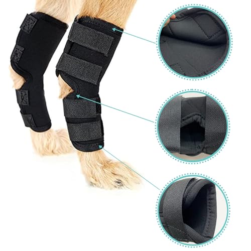 1 Paar Gelenkbandage für Hunde, Hunde Kniebandage, Hunde Gelenkbandage Stützbandage, Hunde Bein Sprunggelenk Wrap, Kniebandage für Hunde, Haustier Schutzausrüstung, Haustier Hunde Handgelenk Bandage
