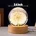 MARZIUS Flower Crystal Ball Night Light, 2.4 inch Glass Ball Night Lamp with Woodern Base (Yellow Daisy)
