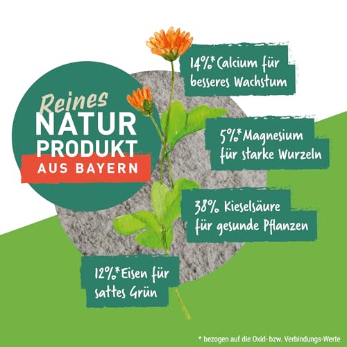 Schicker Mineral Diabas Urgesteinsmehl sandig 25 kg, Lava Gesteinsmehl 0-2 mm versorgt Garten und Boden natürlich mit Mineralien, 100% Naturprodukt, Bodenhilfsstoff, Bodenverbesserer, Fibl gelistet