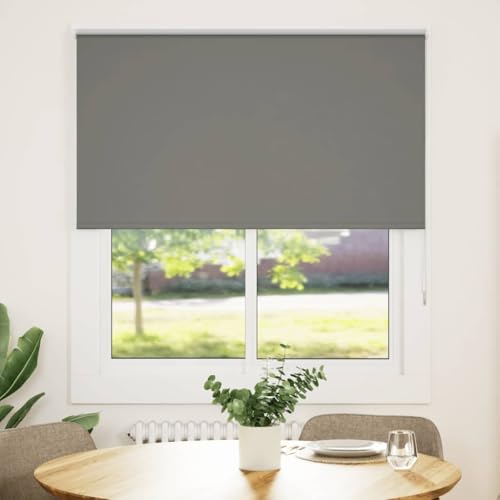 Kaloriko Estor opaco gris 135 x 150 cm, persiana de protección visual, protección solar, oscurecimiento con cadena y fijación Klemmfix, montaje para ventanas, tragaluz, dormitorio, salón, oficina