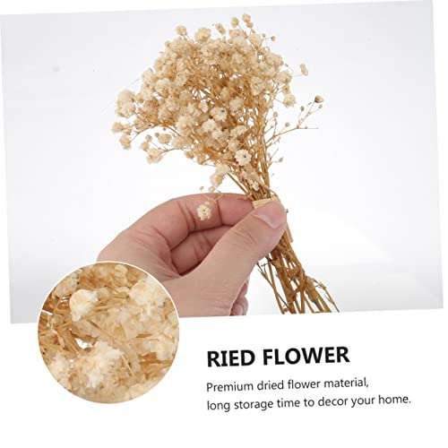 Ramo de flores secas para decoración natural miniatura 3