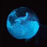 BIOILLUMI | 光る海をお部屋に。自然の神秘を体感。発光するアクアリウム|夜光虫の仲間の発光藻|BIOSPHERE