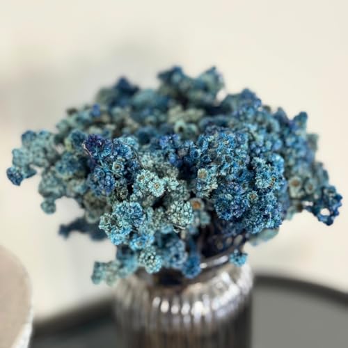 Image of Himalayan Daisy Dried Flowers | Natural Dried Blooms| 70 Grams | Naturally Preserved, Delicate & Everlasting | Perfect for Home Decor, Floral Arrangements, Bouquets & DIY Crafts(Blue)