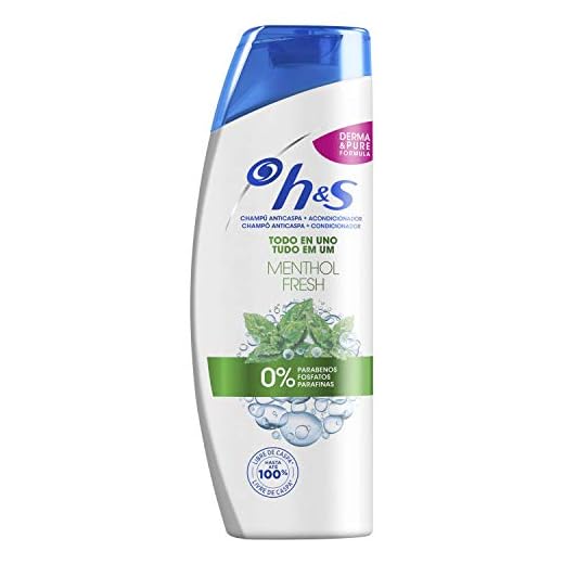 H&S Menthol Champú Todo en Uno Anticaspa - 360 ml
