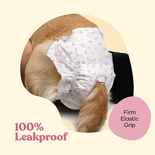 Image of Comfortable Female Dog Diapers - 50-Pack Super Absorbent Disposable Doggie Diapers - FlashDry Gel Technology & Wetness Indicator - Leakproof Diapers for Dogs in Heat, Excitable Urination, Incontinence