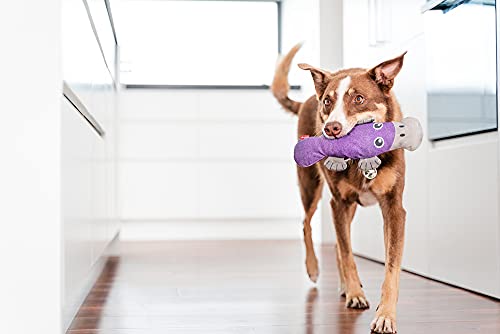 Red Dingo Durables – Pam The Platypus – Ultra-strapazierfähiges Plüschtier für Hunde