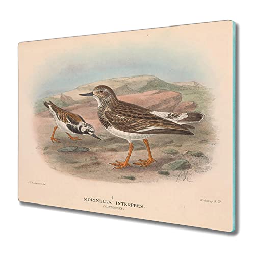 Verre de sécurité induction 60x52cm planche à découper robuste imprimé oiseaux - 2