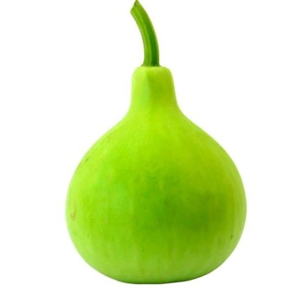 See full amazon price history chart for PLANTOGALLERY Vegetable Seeds |Bottle Gourd Round Vegetable Seeds For Gardening (10 Seeds Pack) PLANTOGALLERY Vegetable Seeds |Bottle Gourd Round Vegetable Seeds For Gardening (10 Seeds Pack) (B09B2MN5N3) Amazon Price History, Amazon Price Tracker