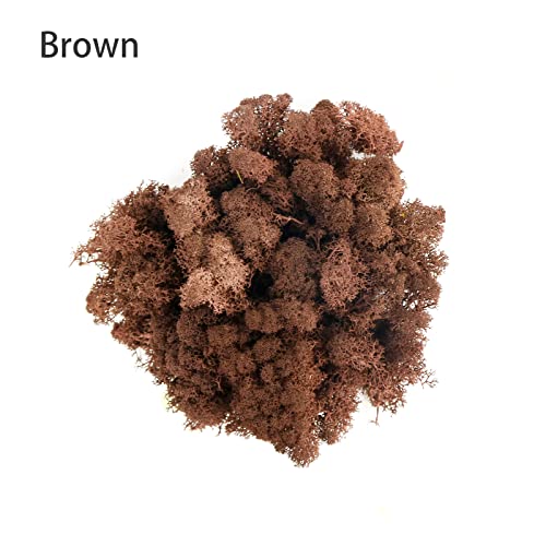 Image of Amoueterno Preserved Moss 4 Color Reindeer Moss,Total 14OZ Each Color 3.5OZ, Natural Real Green Moss DIY Kit Moss Crafts Art Wall Decor Florist Decor Yellow /Light Yellow /Brown /Orange Brown
