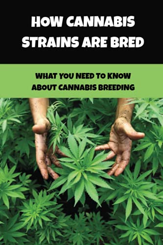 How Cannabis Strains Are Bred: What You Need To Know About Cannabis Breeding: Collecting And Harvesting Cannabis Seeds