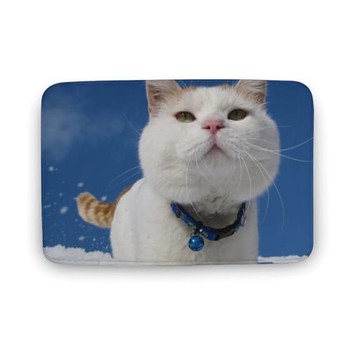 L   oX}bg \tg􂦂 z  փ}bg  O   傫 ~ Aj LN^[ @}bg   ʏ